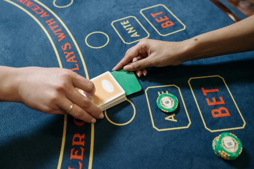 raptorcasinos.com raptorcasinos.com